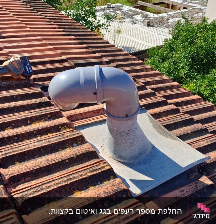 צינור פלסטיק על גג רעפים אדום עם חזזיות